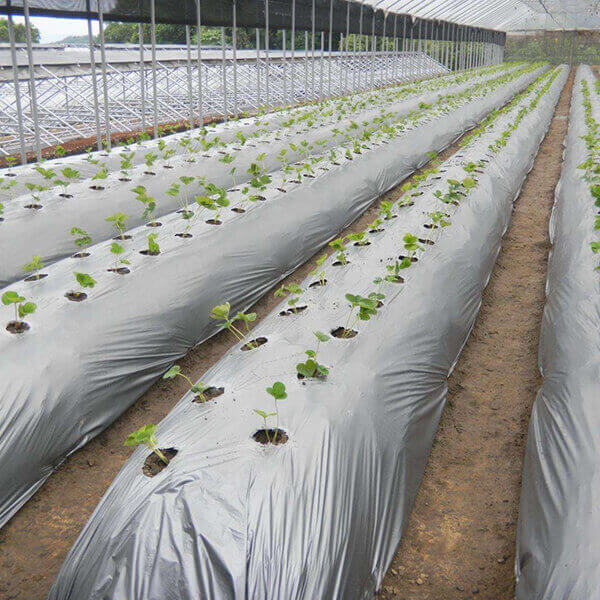 Agricultural bags